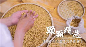 标题：永记和味 豆浆油条
浏览次数：601
发表时间：2023-06-01