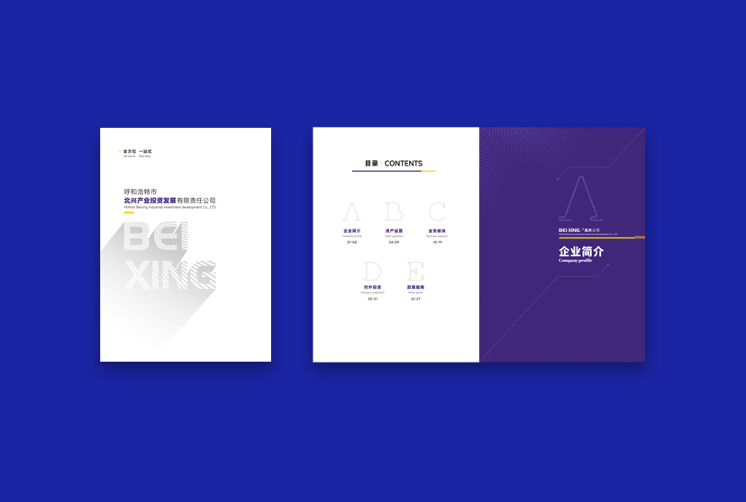 标题：北兴公司
浏览次数：3495
发表时间：2024-11-02